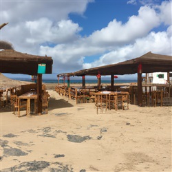 De meest populaire strandbars op Fuerteventura