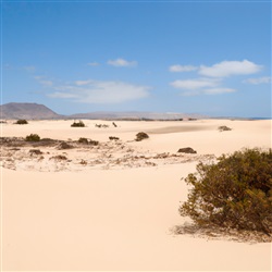 Ontdek de betoverende duinlandschappen van Parque Natural de las Dunas de Corralejo