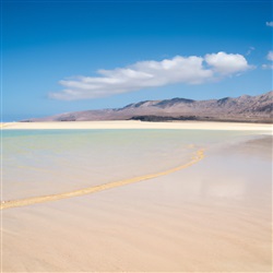 Ontdek het paradijs op Playa de Sotavento - Het mooiste strand van Fuerteventura!