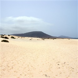 Parque Natural de Corralejo: Ontdek de adembenemende duinen en stranden van Fuerteventura